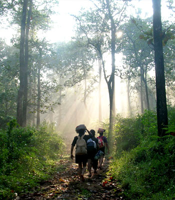 Sabarimala taxi, kochin to sabarimala packages